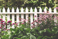 Wooden Fence AD